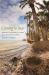 Coming to Pass : Florida's Coastal Islands in a Gulf of Change