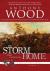 The Storm That Carries Me Home : A Story of the Civil War