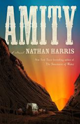 Amity : A Novel