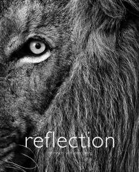 Reflection