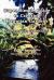 Super Simple Guide to Creating Hawaiian Gardens : For Kama`aina and Malihini