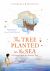 The Tree Planted in the Sea : A Journey with the Apostle Paul