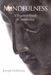 Mindfulness : A Practical Guide to Awakening