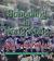Schooling in Hong Kong : Organization, Teaching and Social Context