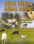 Rural Teens and Animal Raising : Large and Small Pets
