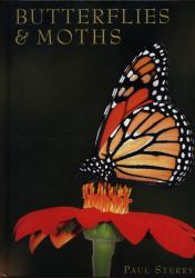 Butterflies & Moths