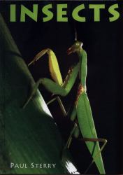 Insects