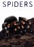 Spiders