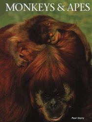 Monkeys and Apes