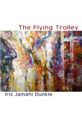 The Flying Trolley