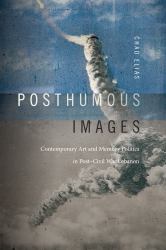 Posthumous Images : Contemporary Art and Memory Politics in Post-Civil War Lebanon