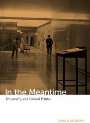 In the Meantime : Temporality and Cultural Politics
