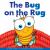 Bug on the Rug