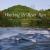Watching the River Run : A Photographic Journey down the Youghiogheny