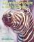 Painting Wildlife in Watercolor Painting Wildlife in Watercolor