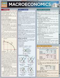 Macroeconomics : QuickStudy Laminated Reference Guide