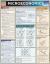 Microeconomics : QuickStudy Laminated Reference Guide