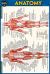 Anatomy Pocket-Sized Reference Guide (4x6 Inches)