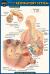 Anatomy of the Respiratory System (Pocket-Sized Edition - 4x6 Inches)