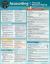 Accounting for Financial Decision Making : A QuickStudy Laminated Reference Guide