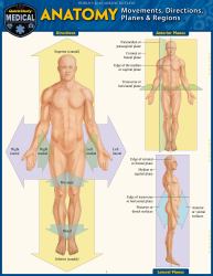 Anatomy - Directions, Planes, Movements and Regions : A QuickStudy Laminated Reference Guide