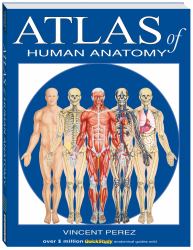 Atlas of the Human Anatomy : A QuickStudy Reference