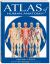 Atlas of the Human Anatomy : A QuickStudy Reference