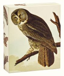 TeNeues - QuickNotes: Audubon Owls, Notecards, 20 Full Color Notecards, 20 Classic White Envelopes, 4 Designs, 5 Cards Each Design, Keepsake Box, Magnetic Closure : Our Standard Size Set of 20 Notecards in a Box with Magnetic Closure