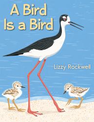 A Bird Is a Bird