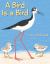 A Bird Is a Bird