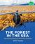 The Forest in the Sea : Seaweed Solutions to Planetary Problems