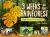 3 Weeks in the Rainforest : A Rapid Inventory in the Amazon