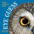 Eye Guess : A Forest Animal Guessing Game