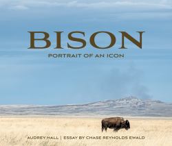 Bison : Portrait of an Icon