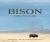 Bison : Portrait of an Icon