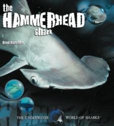 The Hammerhead Shark