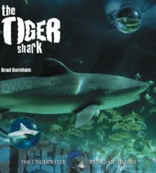 The Tiger Shark