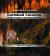 Carlsbad Caverns : America's Largest Underground Chamber