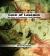 Cave of Lascaux : The Cave of Prehistoric Wall Paintings
