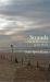 Strands : A Year of Discoveries on the Beach