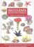 Succulents of South Africa : A Guide to the Regional Diversity