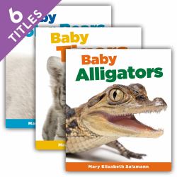 Baby Animals