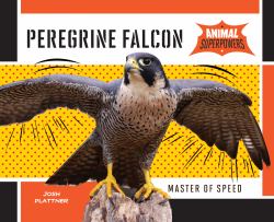 Peregrine Falcon : Master of Speed