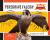 Peregrine Falcon : Master of Speed