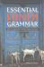 Essential Hindi Grammar : With Examples from Modern Hindi Literature