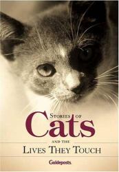 Stories of Cats and the Lives They Touch