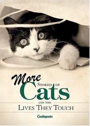 More Stories of Cats
