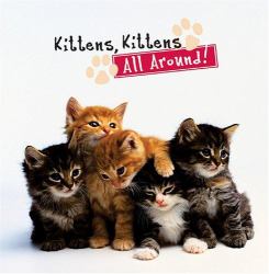 Kittens, Kittens All Around