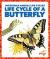 Life Cycle of a Butterfly Life Cycle of a Butterfly