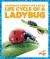 Life Cycle of a Ladybug Life Cycle of a Ladybug